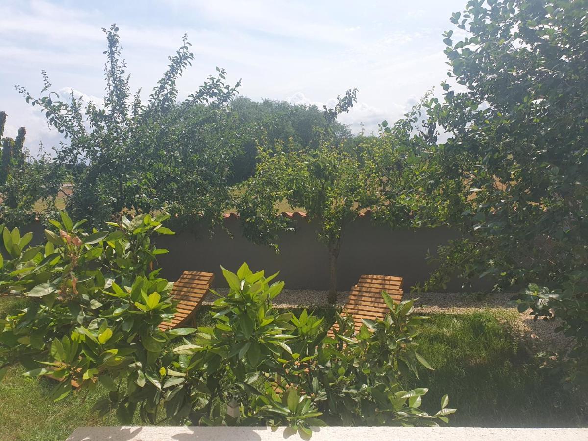 Villa Ancora Savudrija Buitenkant foto